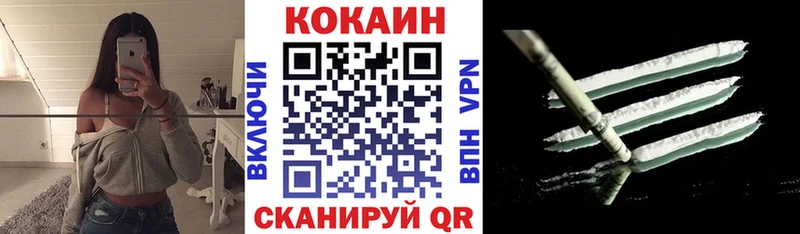 Купить закладки  Сасово  Cocaine Fish Scale 