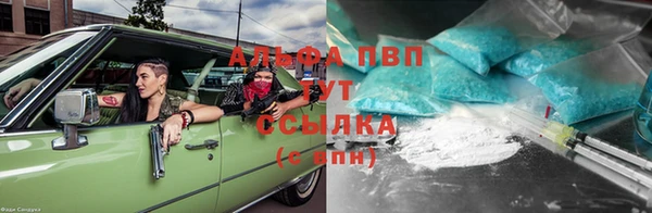 гидра Александровское